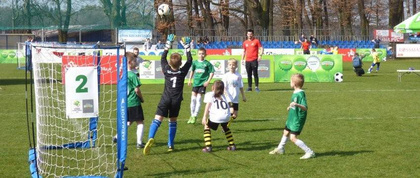 Niebiesko-biała bramka składana Yakimasport Uni Żak 100152 3x1,55m